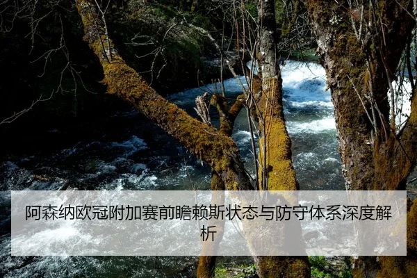 阿森纳欧冠附加赛前瞻赖斯状态与防守体系深度解析